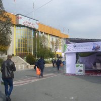 n16.88